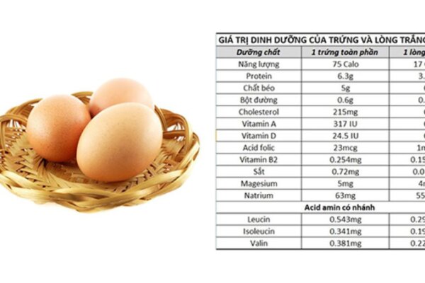 Trứng nướng bao nhiêu calo? Một số lợi ích của trứng nướng đối với sức khỏe